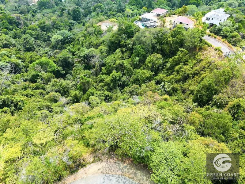 Expansive Ocean View Lot Near Playa Hermosa – Build Your Dream Coastal Estate — view 18, Costa Rica