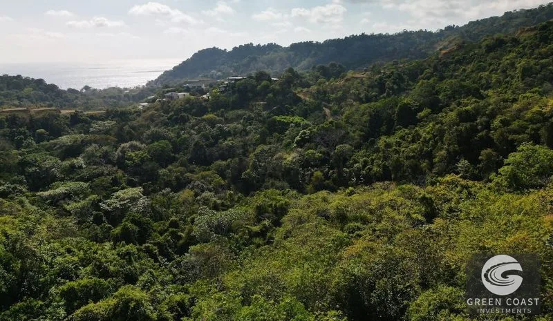 Ocean View Estate in Gated Community - Ready to Build Your Dream Home! — view 11, Jacó, Garabito, Costa Rica