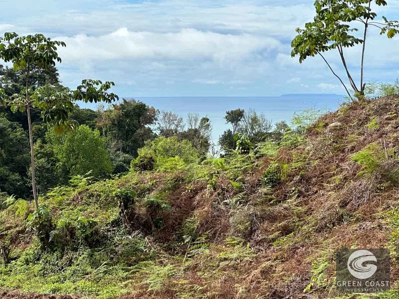 Ojochal Phase 8: Ultra-Rare, Flat Ocean-View Lot – Build Your Dream Estate or Boutique Resort! — view 1, Ojochal, Ojochal, Costa Rica
