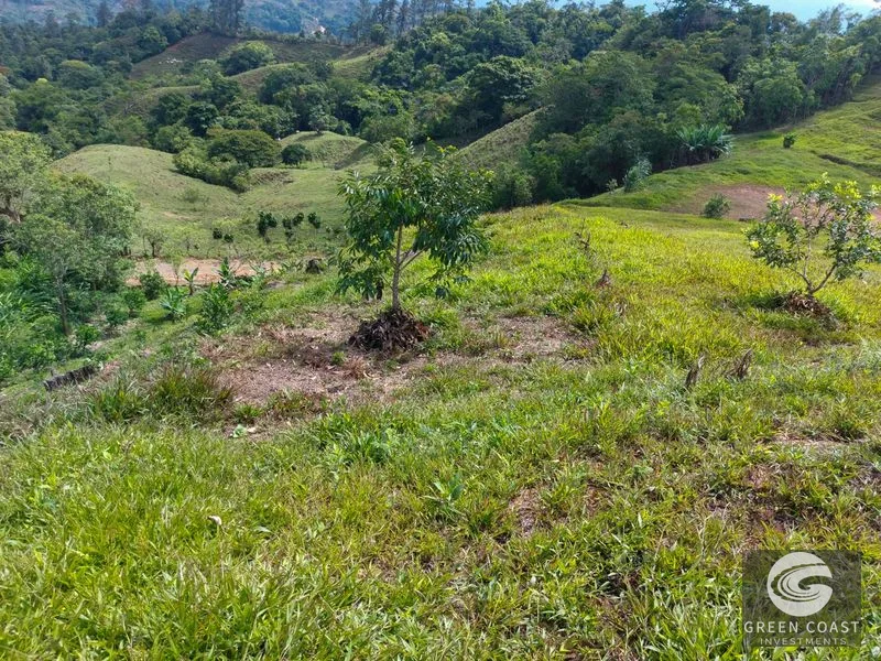 Uvita Ocean & Waterfall View Lot: 3.36 Acres, 2 Pads, Fruit Trees, 4x4 Access — view 3, Uvita, Costa Rica