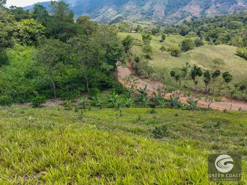 Uvita Ocean & Waterfall View Lot: 3.36 Acres, 2 Pads, Fruit Trees, 4x4 Access — view 8, Uvita, Costa Rica