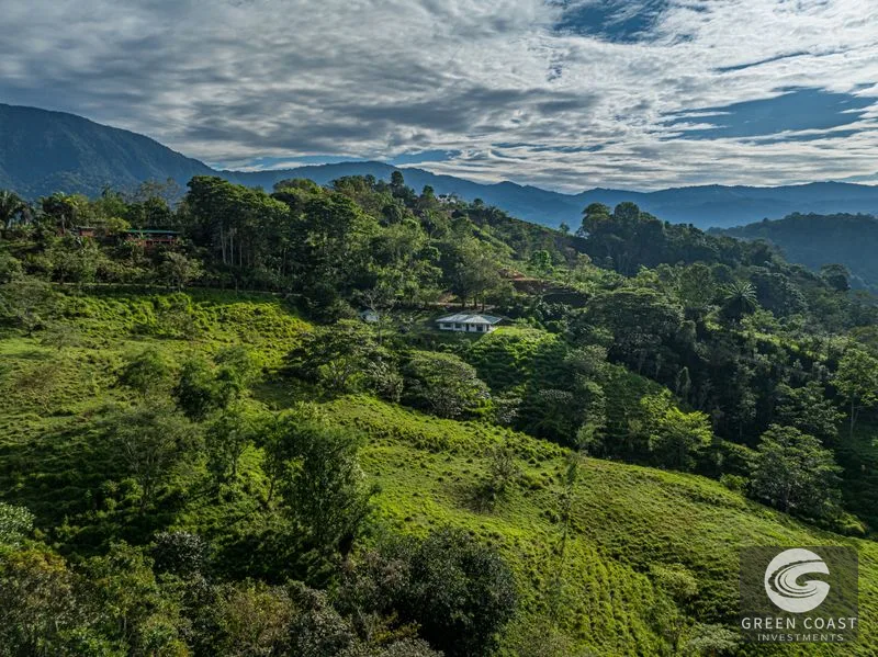 74-Acre Organic Farm with Mountain Views & Home Near Dominical Beach — view 2, Dominical, Puntarenas, Costa Rica