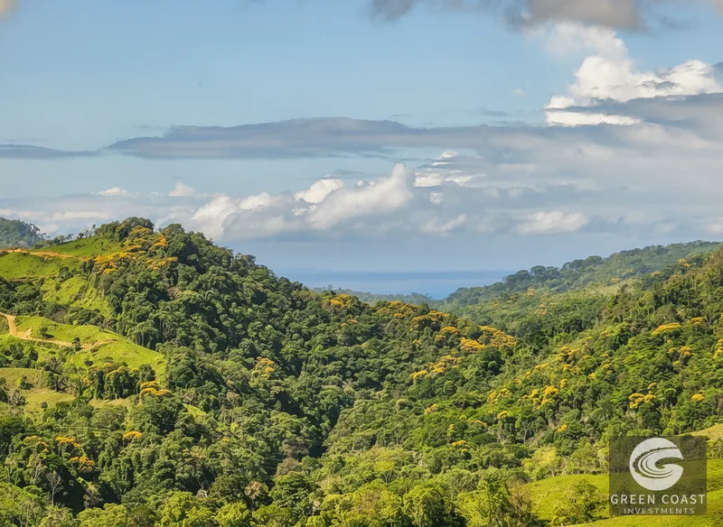 74-Acre Organic Farm with Mountain Views & Home Near Dominical Beach — view 3, Dominical, Puntarenas, Costa Rica