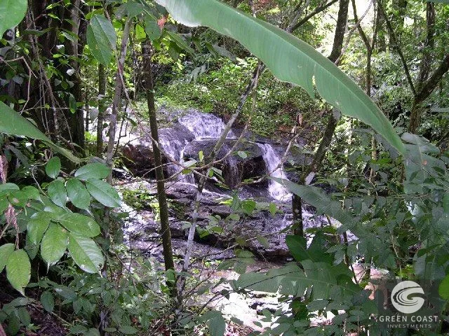74-Acre Organic Farm with Mountain Views & Home Near Dominical Beach — view 4, Dominical, Puntarenas, Costa Rica