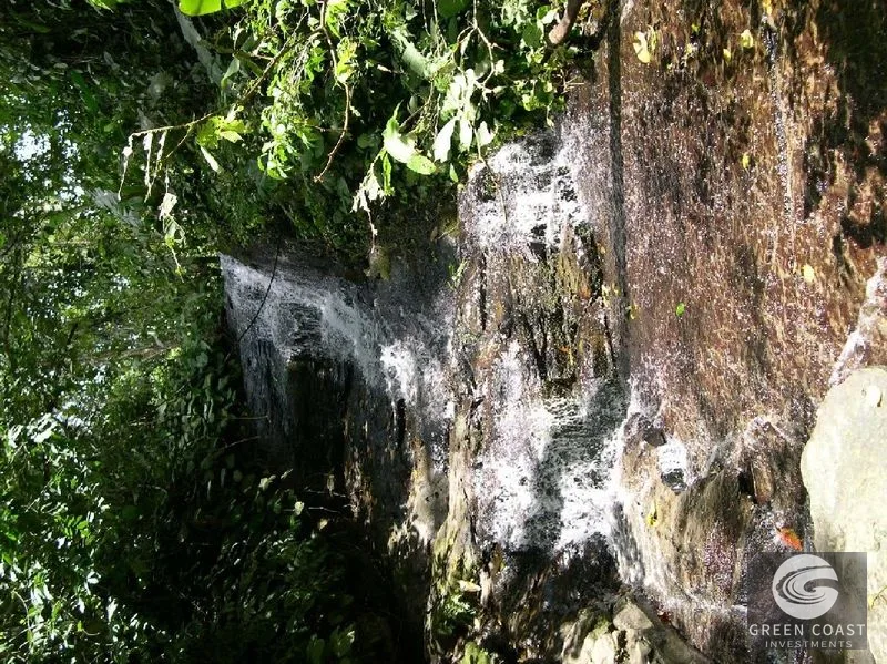 74-Acre Organic Farm with Mountain Views & Home Near Dominical Beach — view 5, Dominical, Puntarenas, Costa Rica