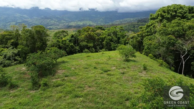 36-Acre Platanillo Farm: Private Estate, Eco-Retreat, or Gated Community Potential — view 1, Platanillo, Perez Zeledon, Costa Rica