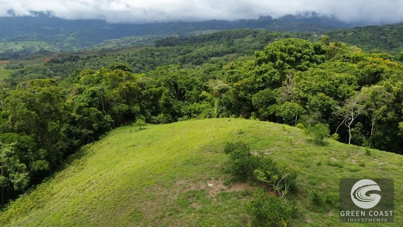 36-Acre Platanillo Farm: Private Estate, Eco-Retreat, or Gated Community Potential — view 2, Platanillo, Perez Zeledon, Costa Rica