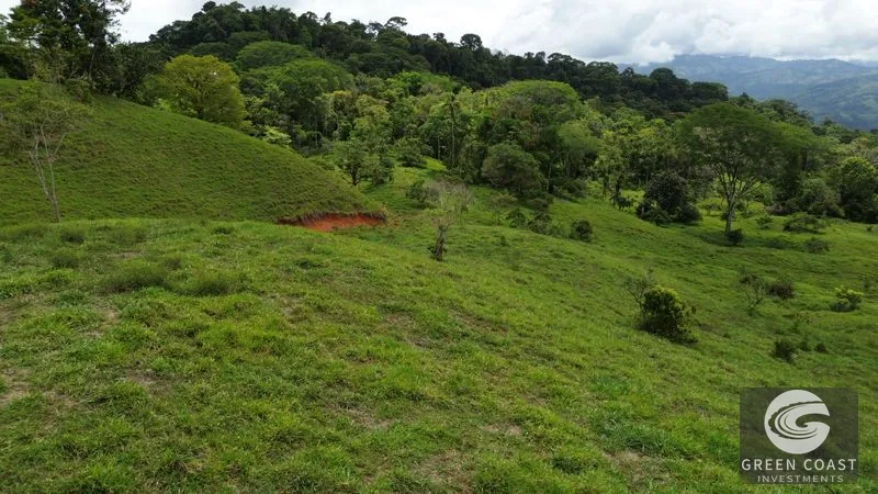 36-Acre Platanillo Farm: Private Estate, Eco-Retreat, or Gated Community Potential — view 3, Platanillo, Perez Zeledon, Costa Rica