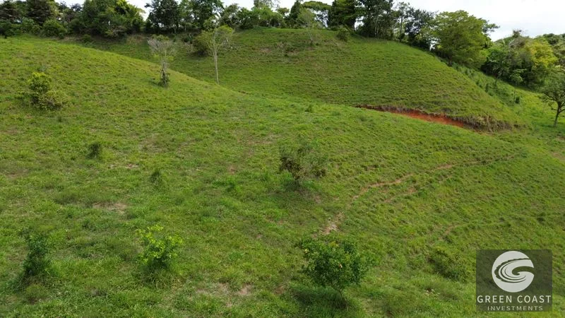 36-Acre Platanillo Farm: Private Estate, Eco-Retreat, or Gated Community Potential — view 4, Platanillo, Perez Zeledon, Costa Rica