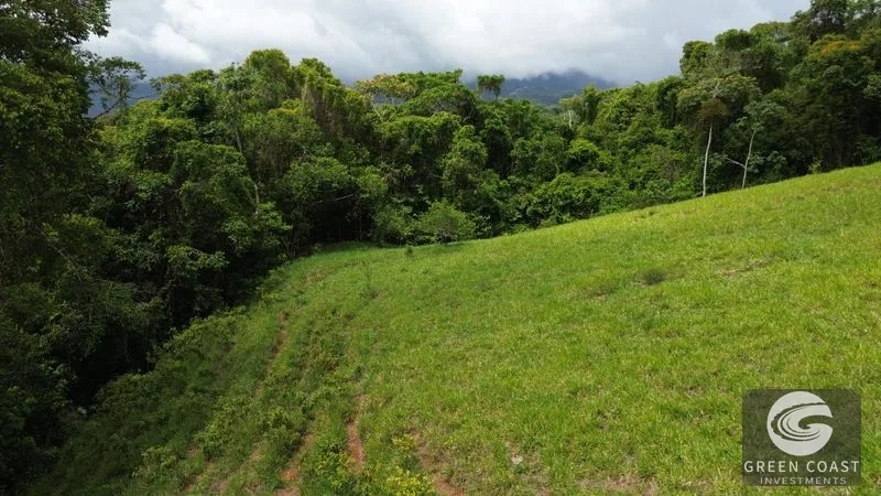 36-Acre Platanillo Farm: Private Estate, Eco-Retreat, or Gated Community Potential — view 5, Platanillo, Perez Zeledon, Costa Rica