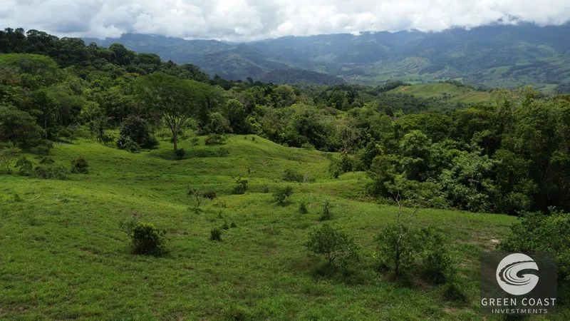 36-Acre Platanillo Farm: Private Estate, Eco-Retreat, or Gated Community Potential — view 6, Platanillo, Perez Zeledon, Costa Rica