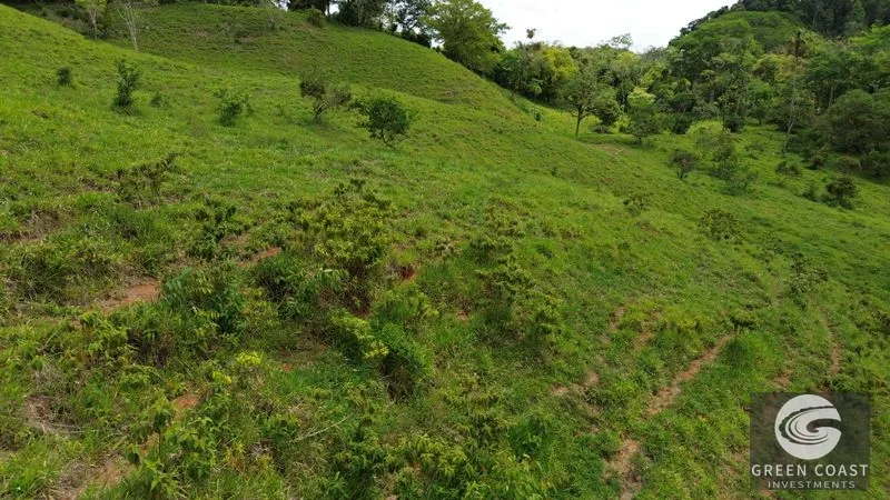 36-Acre Platanillo Farm: Private Estate, Eco-Retreat, or Gated Community Potential — view 7, Platanillo, Perez Zeledon, Costa Rica