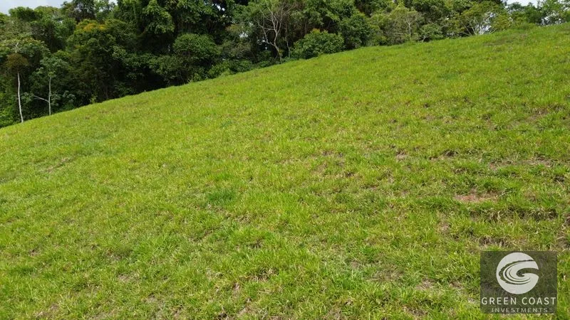 36-Acre Platanillo Farm: Private Estate, Eco-Retreat, or Gated Community Potential — view 8, Platanillo, Perez Zeledon, Costa Rica