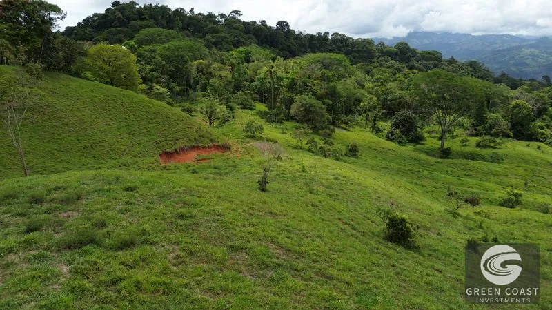 36-Acre Platanillo Farm: Private Estate, Eco-Retreat, or Gated Community Potential — view 9, Platanillo, Perez Zeledon, Costa Rica