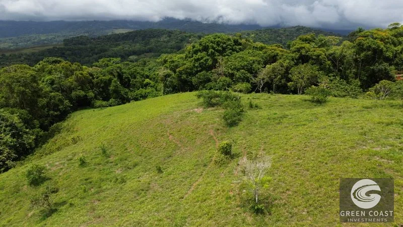 36-Acre Platanillo Farm: Private Estate, Eco-Retreat, or Gated Community Potential — view 13, Platanillo, Perez Zeledon, Costa Rica