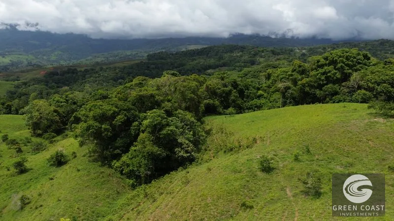 36-Acre Platanillo Farm: Private Estate, Eco-Retreat, or Gated Community Potential — view 15, Platanillo, Perez Zeledon, Costa Rica