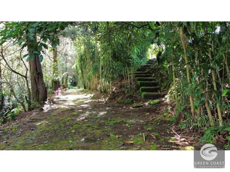 Private Forest Estate with River & Development Potential in Heredia — view 5, Santo Domingo, Costa Rica