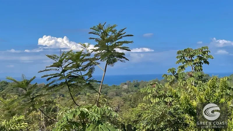 Playa Hermosa 1.2 Acre Lot: Panoramic Ocean & Mountain Views, Ready for Your Dream Home — view 3, Uvita, Osa, Costa Rica