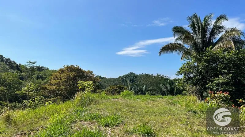 Playa Hermosa 1.2 Acre Lot: Panoramic Ocean & Mountain Views, Ready for Your Dream Home — view 4, Uvita, Osa, Costa Rica