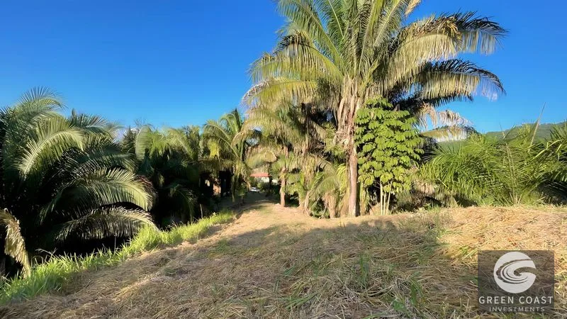 Playa Hermosa 1.2 Acre Lot: Panoramic Ocean & Mountain Views, Ready for Your Dream Home — view 8, Uvita, Osa, Costa Rica