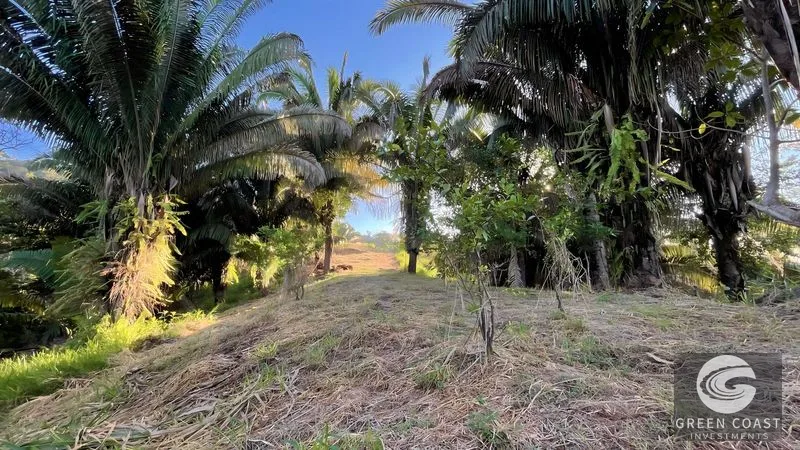 Playa Hermosa 1.2 Acre Lot: Panoramic Ocean & Mountain Views, Ready for Your Dream Home — view 12, Uvita, Osa, Costa Rica