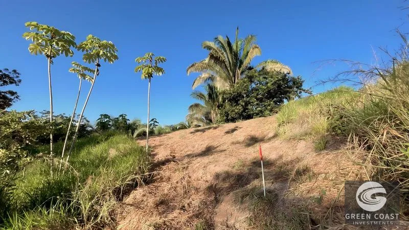 Playa Hermosa 1.2 Acre Lot: Panoramic Ocean & Mountain Views, Ready for Your Dream Home — view 13, Uvita, Osa, Costa Rica
