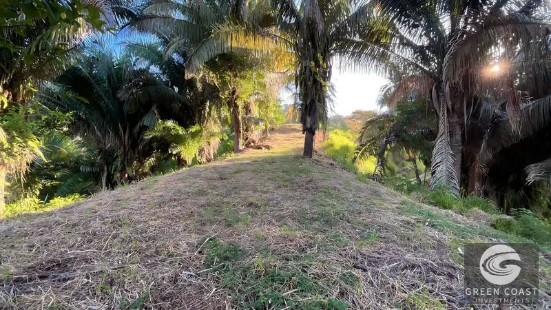 Playa Hermosa 1.2 Acre Lot: Panoramic Ocean & Mountain Views, Ready for Your Dream Home — view 14, Uvita, Osa, Costa Rica