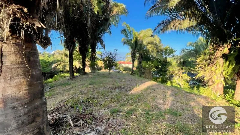 Playa Hermosa 1.2 Acre Lot: Panoramic Ocean & Mountain Views, Ready for Your Dream Home — view 15, Uvita, Osa, Costa Rica