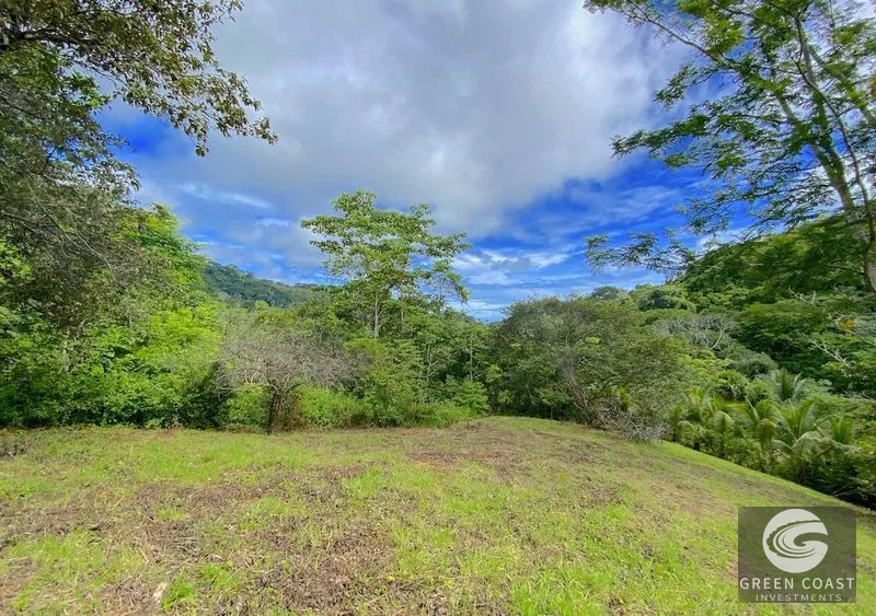 Vista Mayo: 1.25-Acre Ocean View Lot in Playa Hermosa Valley with Waterfalls & River Sounds — view 3, Garabito, Costa Rica