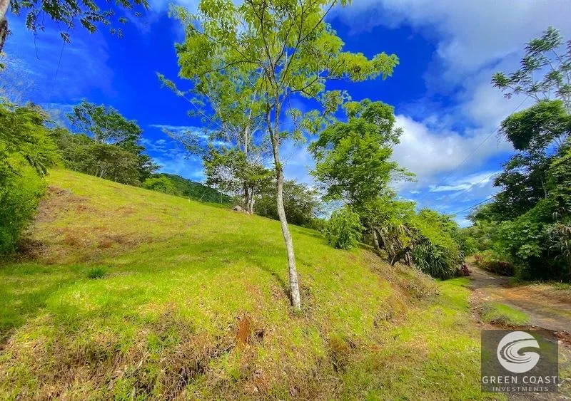 Vista Mayo: 1.25-Acre Ocean View Lot in Playa Hermosa Valley with Waterfalls & River Sounds — view 4, Garabito, Costa Rica