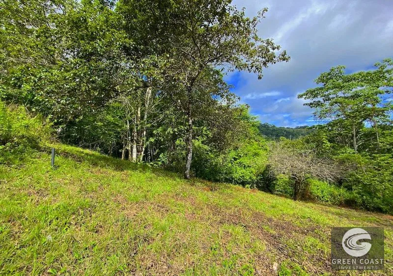 Vista Mayo: 1.25-Acre Ocean View Lot in Playa Hermosa Valley with Waterfalls & River Sounds — view 5, Garabito, Costa Rica