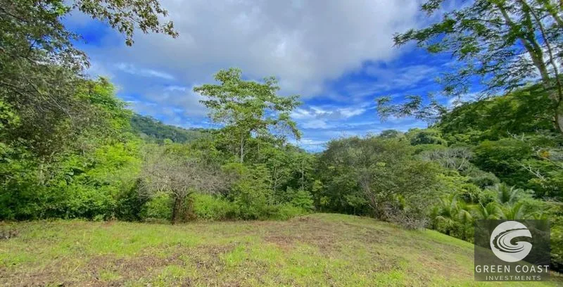 Vista Mayo: 1.25-Acre Ocean View Lot in Playa Hermosa Valley with Waterfalls & River Sounds — view 7, Garabito, Costa Rica