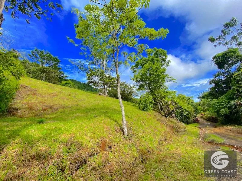Vista Mayo: 1.25-Acre Ocean View Lot in Playa Hermosa Valley with Waterfalls & River Sounds — view 13, Costa Rica