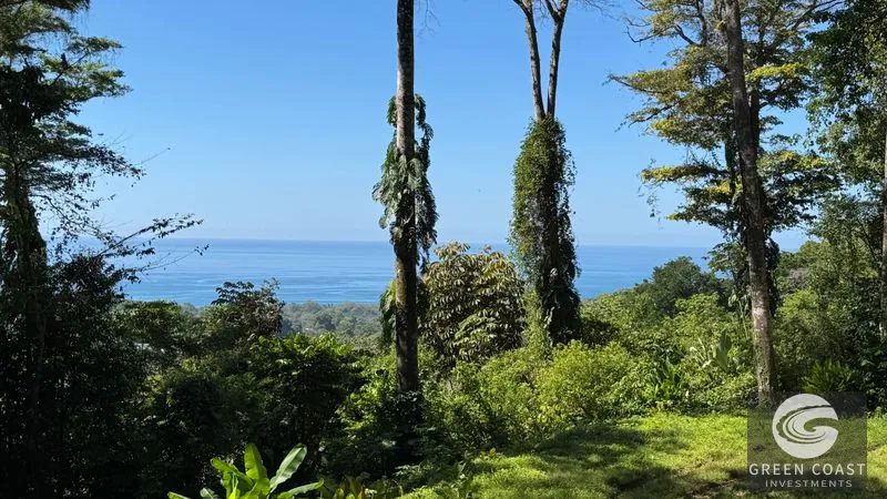 Prime Uvita Ocean View Lots with Easy Access – Build Your Dream Home or Development! — view 8, Bahía Ballena, Osa, Costa Rica
