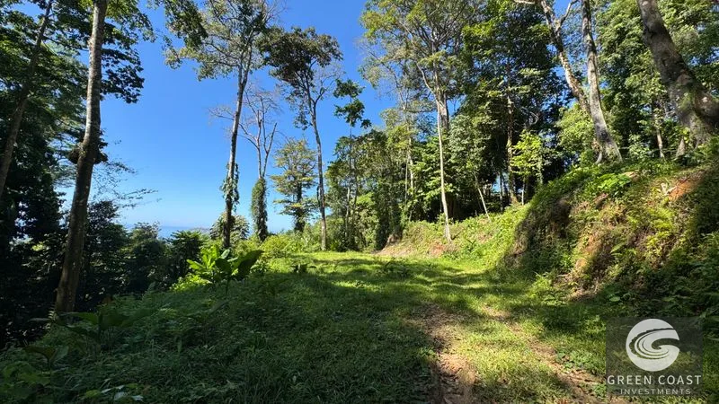 Prime Uvita Ocean View Lots with Easy Access – Build Your Dream Home or Development! — view 10, Bahía Ballena, Osa, Costa Rica