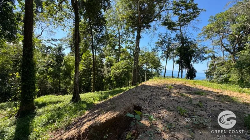 Prime Uvita Ocean View Lots with Easy Access – Build Your Dream Home or Development! — view 11, Bahía Ballena, Osa, Costa Rica