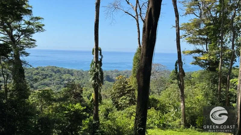 Prime Uvita Ocean View Lots with Easy Access – Build Your Dream Home or Development! — view 12, Bahía Ballena, Osa, Costa Rica