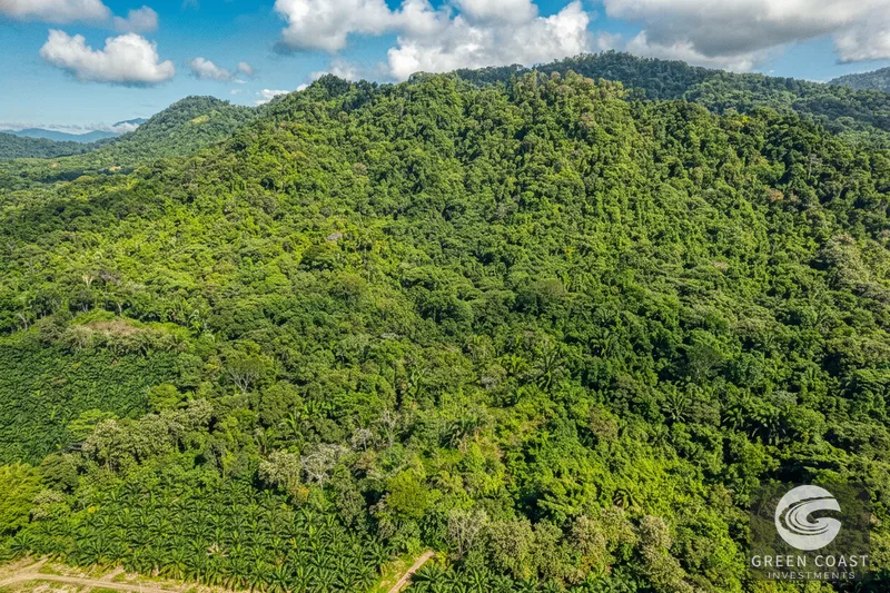 Ocean View Property in Portalon Dominical, Puntarenas — view 2, Costa Rica, Costa Rica