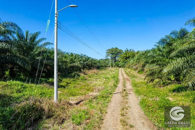 Ocean View Property in Portalon Dominical, Puntarenas — view 4, Costa Rica, Costa Rica