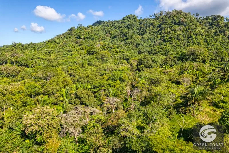 Ocean View Property in Portalon Dominical, Puntarenas — view 5, Costa Rica, Costa Rica