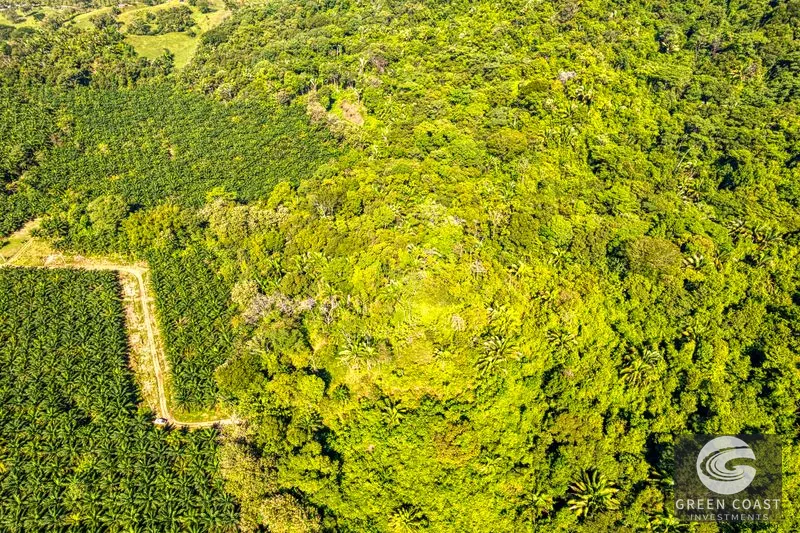 Ocean View Property in Portalon Dominical, Puntarenas — view 8, Costa Rica, Costa Rica