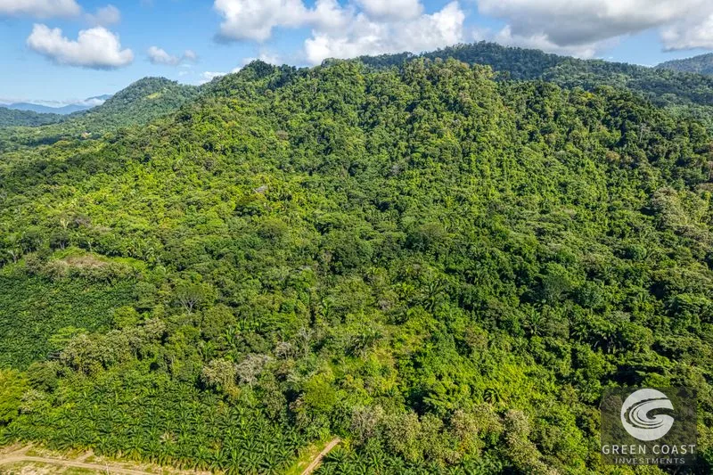 Ocean View Property in Portalon Dominical, Puntarenas — view 15, Costa Rica, Costa Rica