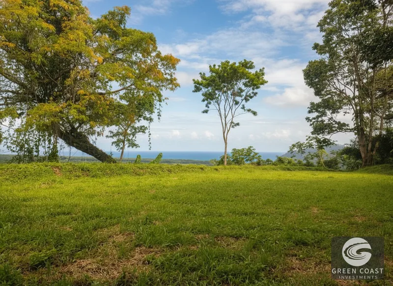 Stunning ocean views & great investment — view 4, Puerto Cortés, Osa, Costa Rica