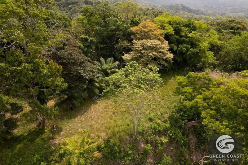 Stunning ocean views & great investment — view 10, Puerto Cortés, Osa, Costa Rica