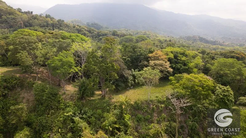 Stunning ocean views & great investment — view 11, Puerto Cortés, Osa, Costa Rica