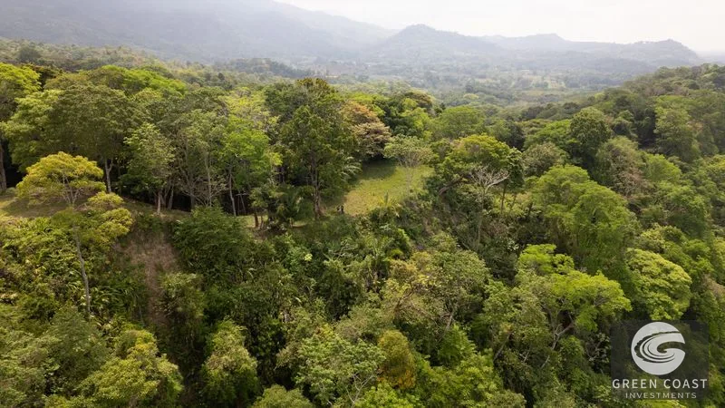 Stunning ocean views & great investment — view 12, Puerto Cortés, Osa, Costa Rica