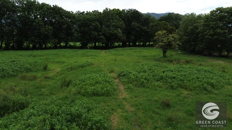 Large Building Lot close to the Water — view 10, Bahía Ballena, Osa, Costa Rica