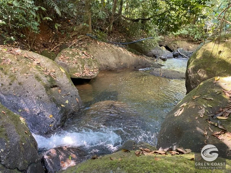 The Sanctuary: Private Edible Paradise with Ocean View & Creek - Tinamastes Retreat — view 4, Tinamastes, Perez Zeledon, Costa Rica