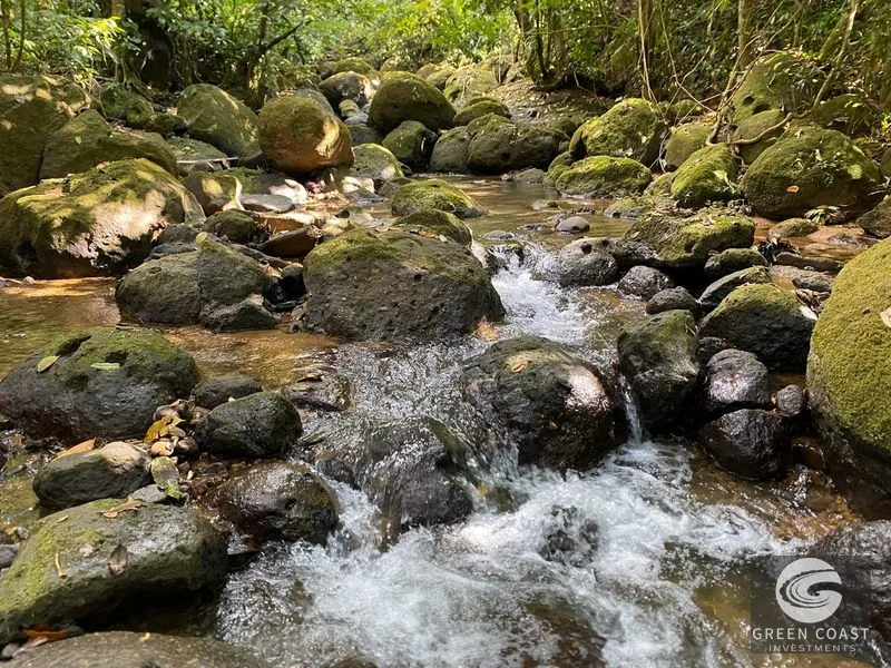 The Sanctuary: Private Edible Paradise with Ocean View & Creek - Tinamastes Retreat — view 5, Tinamastes, Perez Zeledon, Costa Rica
