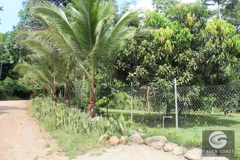 Modern Coastal Retreat Near Ojochal: Expandable 2-Bed Home with Lush Gardens & Room for Pool — view 15, Puerto Cortes, Osa, Costa Rica
